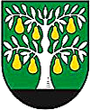 Castelnuovo Magra - town crest