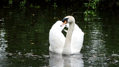 Barnwell Country Park