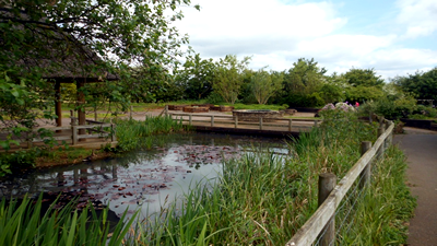 Brixworth Country Park