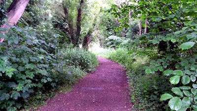 Finedon Pocket Park