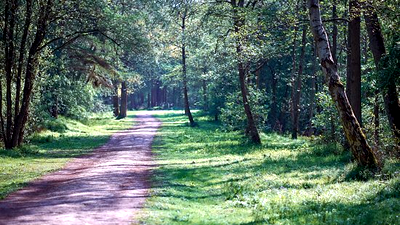 Irchester Country Park