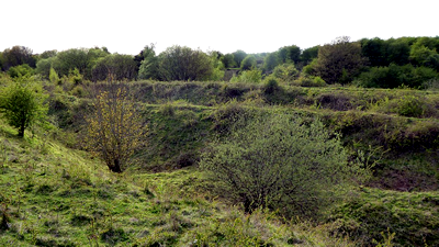 Twywell Hills & Dales